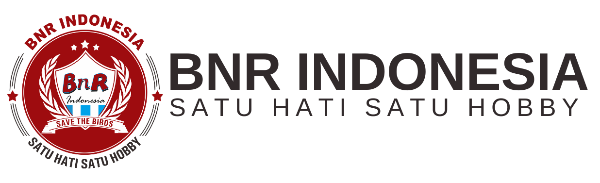 bnr